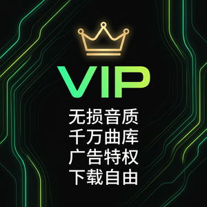 汽水音乐摄影师音乐推荐介绍